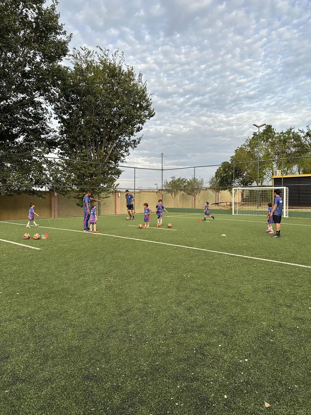Campo de futebol gramado cercado por árvores